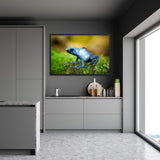 Tableau Grenouille Bleu Cyan