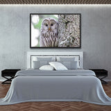 Tableau Hibou Bébé