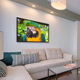 Tableau Jungle Perroquet