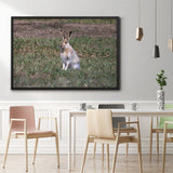 Tableau Lapin de Garenne