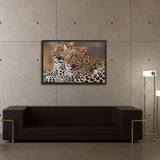 Tableau Léopard Félins Tachetés