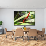 Tableau Libellule Rouge
