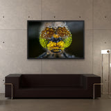 Tableau Libellule Zoomée