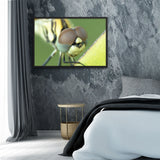 Tableau Libellule Zoom