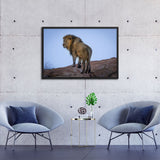 Tableau Lion en Couleur