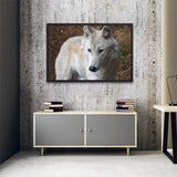 Tableau Loup Blanc (Canin)