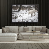 Tableau Loup Blanc