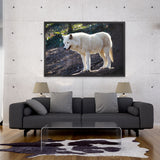 Tableau Loup Blanc (montagne)