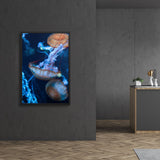 Tableau Méduse Superbe