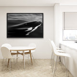 Tableau Orque en Noir et Blanc