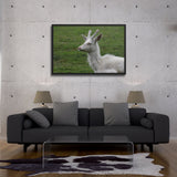 Tableau Rennes Blanc