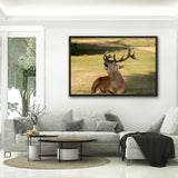 Tableau Rennes Majestueux