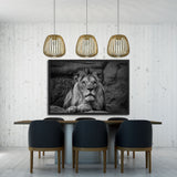 Tableau Tête de Lion Noir et Blanc