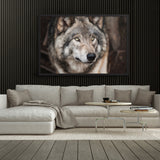 Tableau Tête de Loup Sauvage