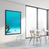 Tableau Tortue Marine