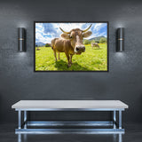 Tableau Vache Aubrac