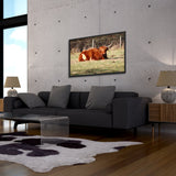 Tableau Vache Highland Allongée