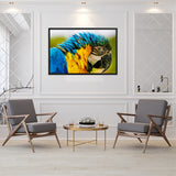 Tableau avec Perroquet Colorés