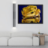 Tableau de Grenouille Zoom