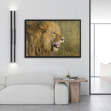 Tableau d'un Lion