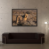 Tableau d'un Lion (Roi de la Jungle)