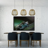 Tableau de Grenouille Moderne