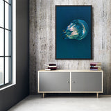 Tableau de Méduse (Dôme Transparent)