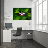 Tableau de Papillons Taches Blanches