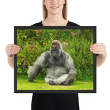 Tableau Gorille Agé