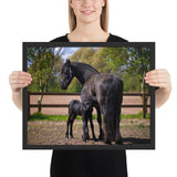 Tableau Chevaux Naissance du Poulain