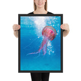 Tableau de Méduse Translucide (Tacheté de Rose)