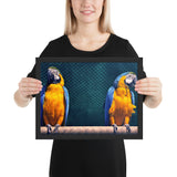 Tableau avec deux Perroquets