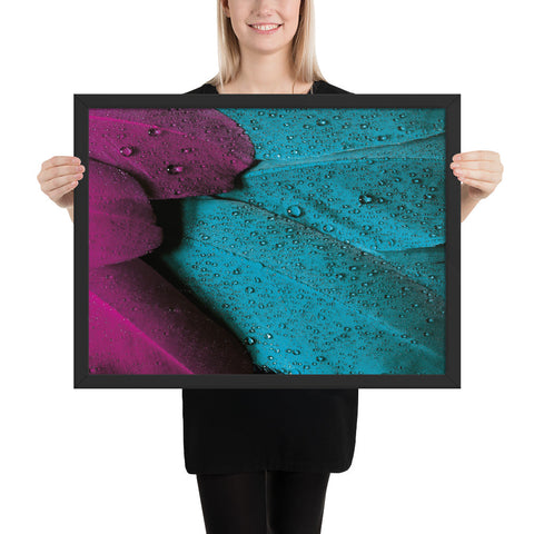 Tableau avec des Plumes d'Oiseaux Violettes