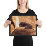 Tableau Chauve Souris sur une pierre