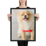 Tableau Chiot Spitz Mignon