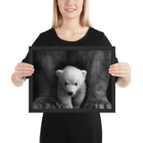Tableau Animaux Ours Polaire et son Fils