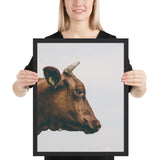 Tableau de Vache Moderne Marron
