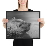 Tableau Tête d'Ours Noir et Blanc Nageant