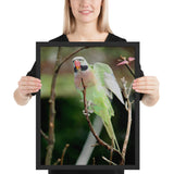 Tableau Jungle Perroquet Translucide