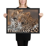 Tableau Léopard Félins Doublés