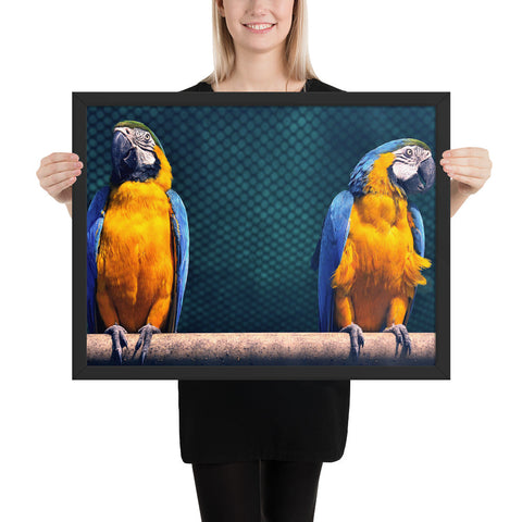 Tableau avec des Perroquets Colorés