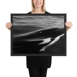 Tableau Orque en Noir et Blanc Nageant