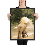 Tableau Africain Éléphant Sauvage