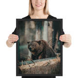 Tableau Ours Montagne Russe