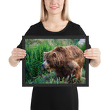 Tableau Animaux Ours dans l'Herbe