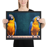 Tableau avec des Perroquets Moderne
