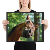 Tableau Tête de Cheval Design