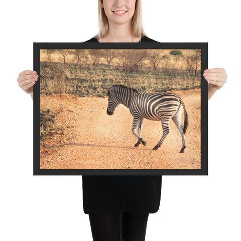 Tableau Zebra en Balade