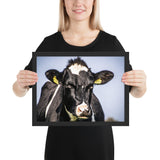 Tableau Tête de Vache Domestique
