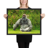 Tableau Gorille qui Boude